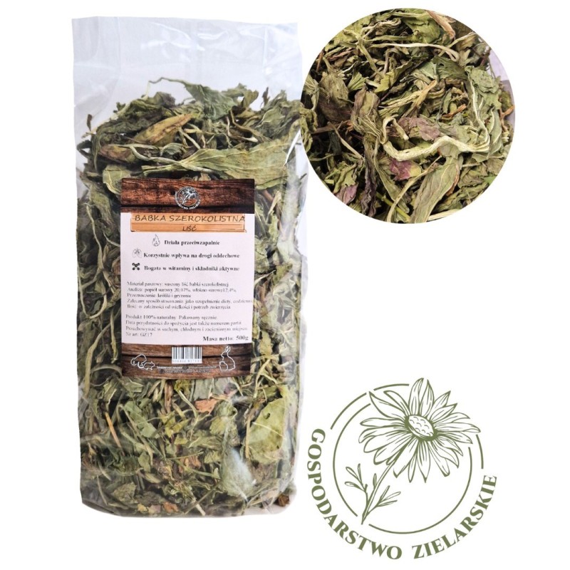 FACTORYHERBS Broadleaf Plantain Leaf Herbal Farm - Treat for Rodents and Rabbits - 500g FACTORYHERBS Broadleaf Plantain Leaf Herbal Farm - Treat for Rodents and Rabbits - 500g