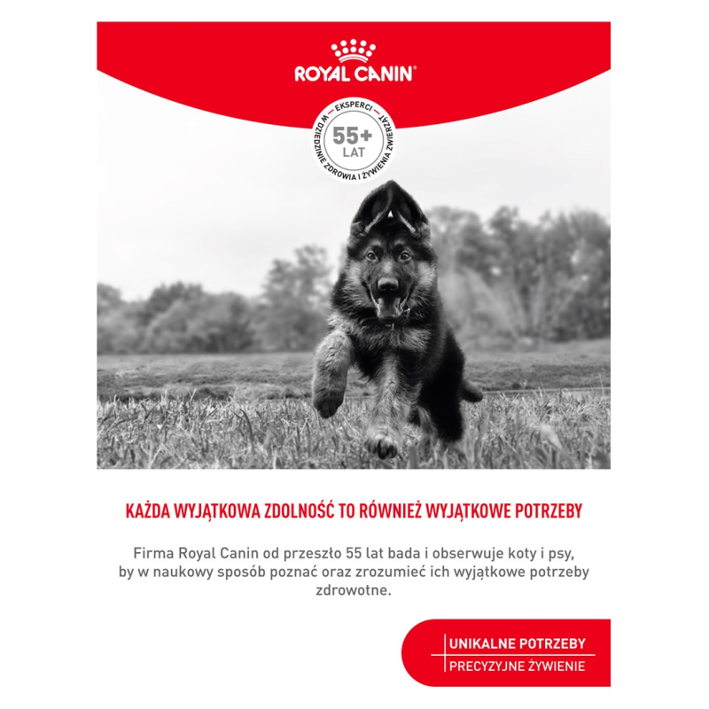 ROYAL CANIN Training Treats - dog treat - 110g ROYAL CANIN Training Treats - dog treat - 110g