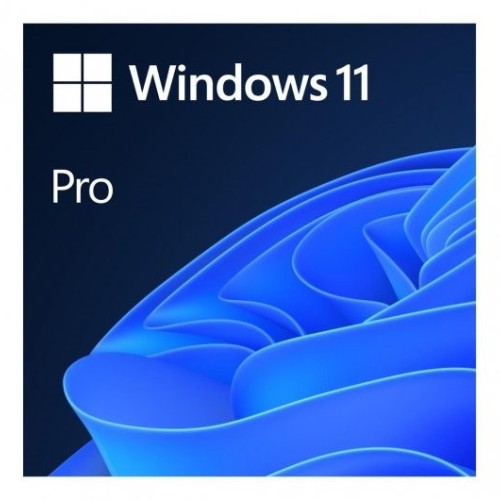 Microsoft Windows 11 Pro 1 license(s) Microsoft Windows 11 Pro 1 license(s)