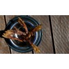 BULT Duck feet - dog treat - 100g