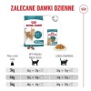 ROYAL CANIN Ageing 11+ - dry cat food - 4kg