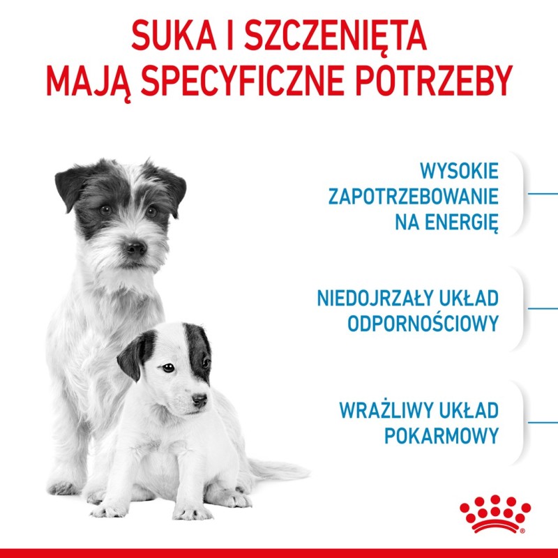 Royal Canin Mini Starter Mother & Babydog Adult Poultry 1 kg Royal Canin Mini Starter Mother & Babydog Adult Poultry 1 kg