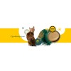 3COTY Chicken with spirulina Senior - wet cat food - 80g 3COTY Chicken with spirulina Senior - wet cat food - 80g