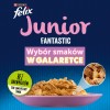 BRIT Care Fillets in Jelly salmon fillets - wet kitten food - 85 g