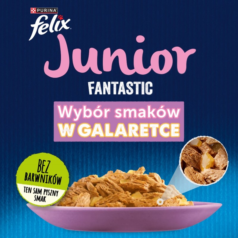 BRIT Care Fillets in Jelly salmon fillets - wet kitten food - 85 g BRIT Care Fillets in Jelly salmon fillets - wet kitten food - 85 g