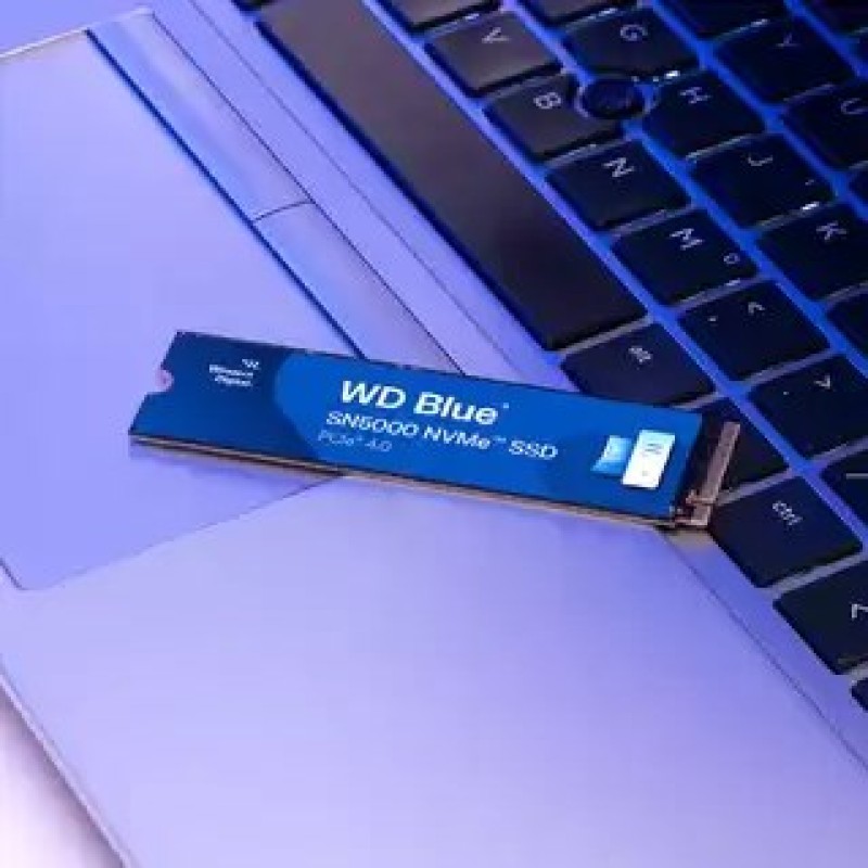 Western Digital Blue SN5000 2 TB M.2 PCI Express 4.0 NVMe