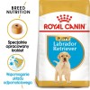 BRIT Premium by Nature Junior L Chicken - dry dog food - 15 kg BRIT Premium by Nature Junior L Chicken - dry dog food - 15 kg