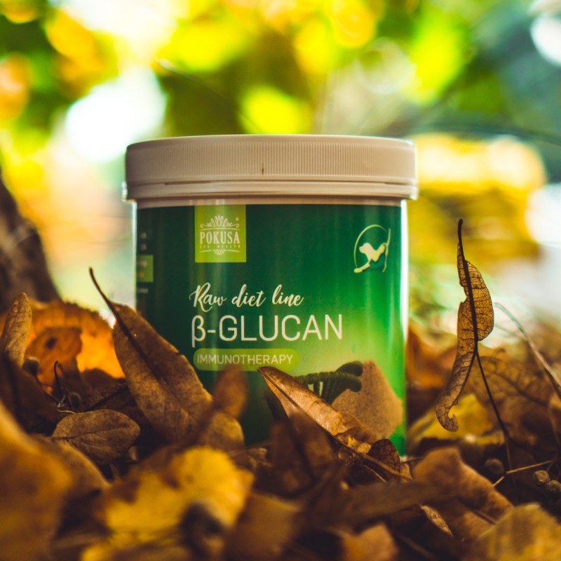 POKUSA RawDietLine Beta-Glucan - supplements for dogs and cats - 250g POKUSA RawDietLine Beta-Glucan - supplements for dogs and cats - 250g