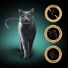SHEBA Nature's Collection Mix - wet cat food - 8x85g SHEBA Nature's Collection Mix - wet cat food - 8x85g