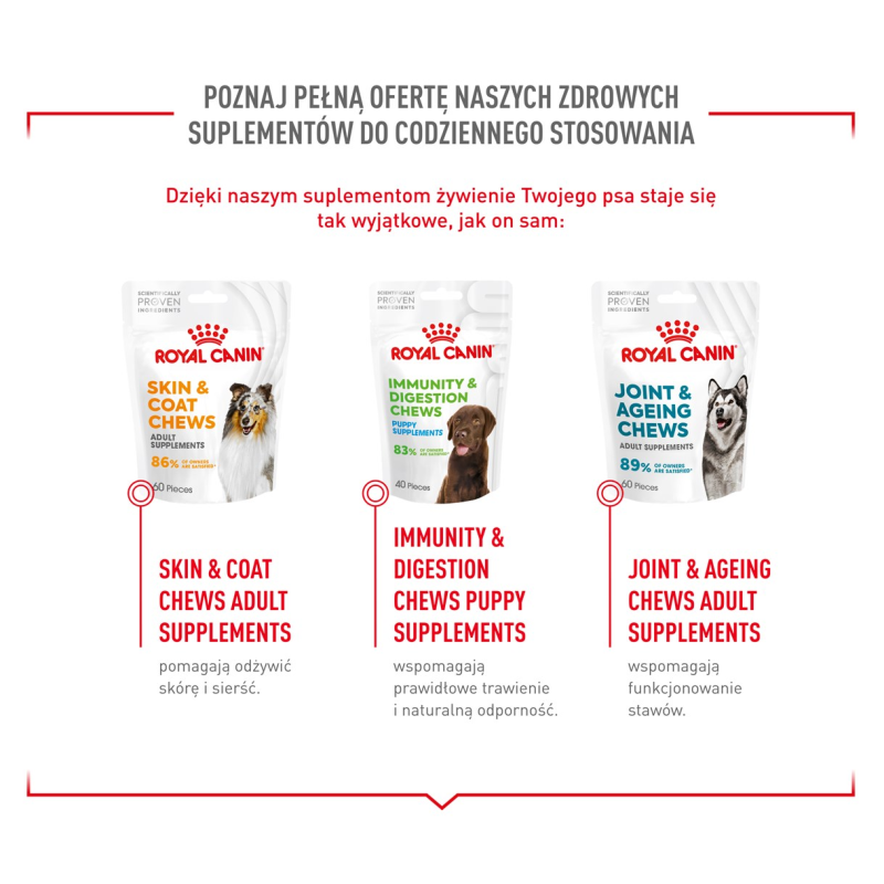BULT Jelito cienkie wieprzowe dla psa 100g BULT Jelito cienkie wieprzowe dla psa 100g