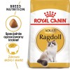 ROYAL CANIN Ragdoll FBN Adult - dry cat food - 400g ROYAL CANIN Ragdoll FBN Adult - dry cat food - 400g