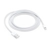 Apple Lightning to USB Cable (2 m) Apple Lightning to USB Cable (2 m)