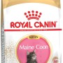 ROYAL CANIN Maine Coon Kitten - dry cat food - 2 kg