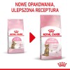 Royal Canin Kitten Sterilised cats dry food 3.5 kg Poultry Royal Canin Kitten Sterilised cats dry food 3.5 kg Poultry