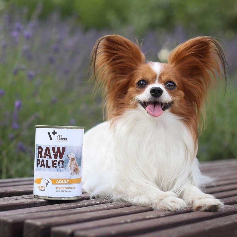 RAW PALEO Adult Monoprotein Turkey - wet dog food - 800 g RAW PALEO Adult Monoprotein Turkey - wet dog food - 800 g