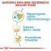 ROYAL CANIN Shih Tzu Puppy - dry dog food - 1,5 kg ROYAL CANIN Shih Tzu Puppy - dry dog food - 1,5 kg