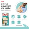 INABA Churu Chicken with Crab Recipe - cat treats - 4x14 g INABA Churu Chicken with Crab Recipe - cat treats - 4x14 g
