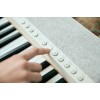Casio CT-S1 Digital synthesizer 61 White Casio CT-S1 Digital synthesizer 61 White