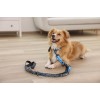 MACED Softer Beef with carrot - Dog treat - 100g MACED Softer Beef with carrot - Dog treat - 100g