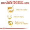 Super Benek Economic 25L  Active