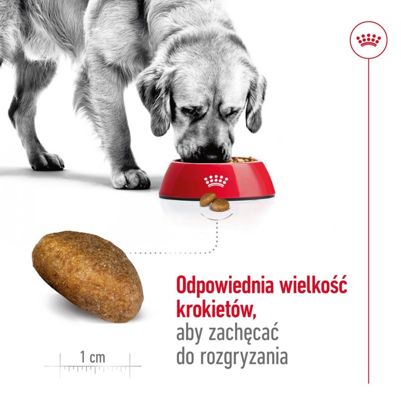 ROYAL CANIN Maxi Adult - dry dog food - 15 kg ROYAL CANIN Maxi Adult - dry dog food - 15 kg