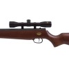 Air Rifle BEEMAN USA QUIET TEK m.1153 GAS RAM k.5.5 mm Air Rifle BEEMAN USA QUIET TEK m.1153 GAS RAM k.5.5 mm