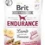BRIT Functional Snack Endurance Lamb  - Dog treat - 150g