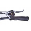 JOBOBIKE Sam - Składany Rower Elektryczny Miejski Dla Seniora 250W Szary JOBOBIKE Sam - Składany Rower Elektryczny Miejski Dla Seniora 250W Szary