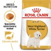 Royal Canin BHN West Highland White Terrier Adult - dry food for adult dogs - 3kg Royal Canin BHN West Highland White Terrier Adult - dry food for adult dogs - 3kg
