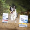 RAW PALEO Ultra Medium&Large Puppy Turkey - dry food for puppies - 2 kg RAW PALEO Ultra Medium&Large Puppy Turkey - dry food for puppies - 2 kg