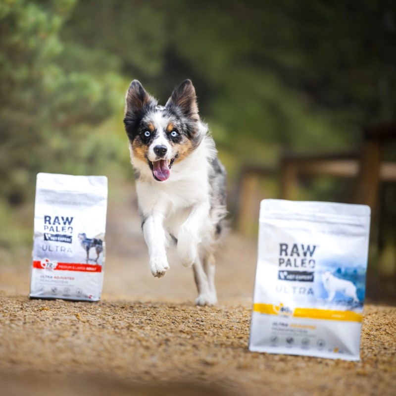 RAW PALEO Ultra Medium&Large Puppy Turkey - dry food for puppies - 2 kg RAW PALEO Ultra Medium&Large Puppy Turkey - dry food for puppies - 2 kg