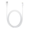 Apple Lightning to USB Cable (2 m) Apple Lightning to USB Cable (2 m)