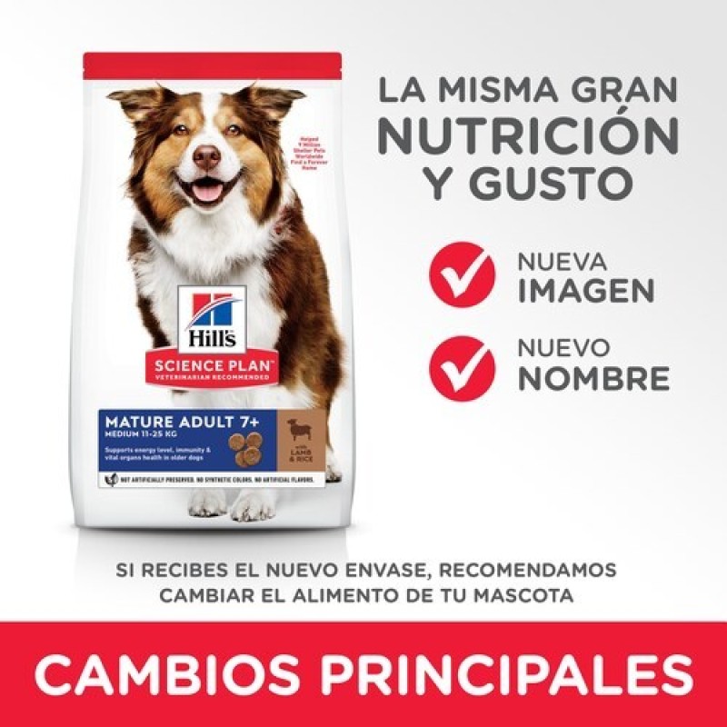 HILTON Lovely - Dog bowl - 300 ml HILTON Lovely - Dog bowl - 300 ml
