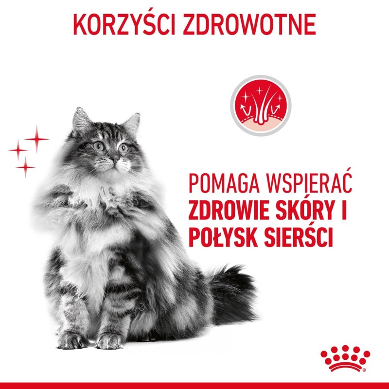 Royal Canin Hair & Skin Care Adult dry cat food 2 kg Royal Canin Hair & Skin Care Adult dry cat food 2 kg