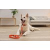MACED Dried fish with chicken - Dog treat - 60g MACED Dried fish with chicken - Dog treat - 60g
