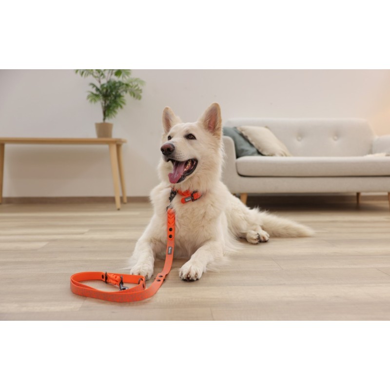 MACED Dried fish with chicken - Dog treat - 60g MACED Dried fish with chicken - Dog treat - 60g