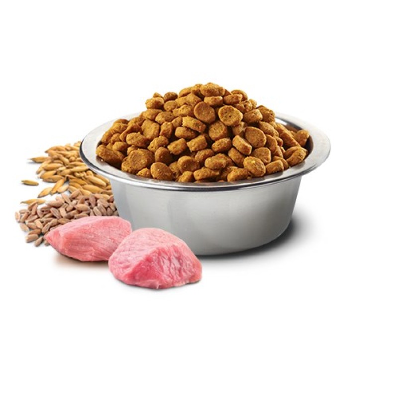 Farmina Pet Food N&D Ancestral Grain Canine 15 kg Adult Chicken Farmina Pet Food N&D Ancestral Grain Canine 15 kg Adult Chicken