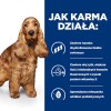 HILL's Prescription Diet Food Sensitivites z/d - dry dog food - 10 kg
