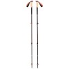 Black Diamond Trail Cork Trekking Poles Fig