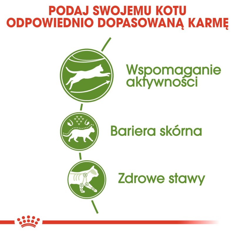 Royal Canin Outdoor cats dry food 400 g Adult Poultry Royal Canin Outdoor cats dry food 400 g Adult Poultry