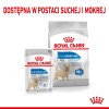 TRIXIE 4225 catnip powder for cats - 20 g TRIXIE 4225 catnip powder for cats - 20 g