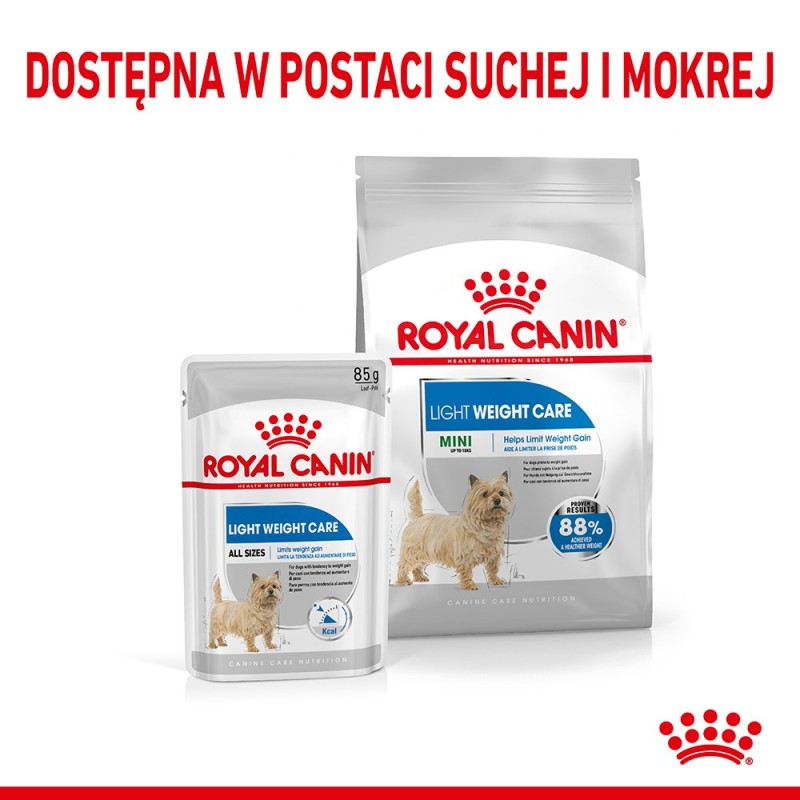 TRIXIE 4225 catnip powder for cats - 20 g TRIXIE 4225 catnip powder for cats - 20 g