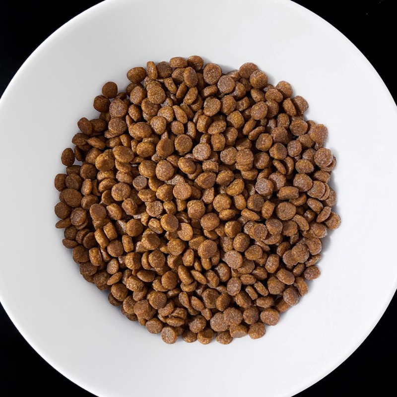 VET RESPONSE Gastrointestinal - dry cat food - 1,6kg VET RESPONSE Gastrointestinal - dry cat food - 1,6kg