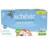 SCHESIR Tuna with sea bass in jelly - wet cat food - 6x50g