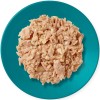 APPLAWS Tuna Fillet with Mackerel in Jelly - wet cat food - 70g APPLAWS Tuna Fillet with Mackerel in Jelly - wet cat food - 70g