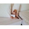 Smoke and carbon monoxide detector K10LLCO KIDDE Smoke and carbon monoxide detector K10LLCO KIDDE