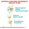 Whiskas 325628 cats dry food Adult Chicken 14 kg Whiskas 325628 cats dry food Adult Chicken 14 kg
