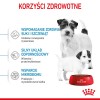 Royal Canin Mini Starter Mother & Babydog Adult Poultry 1 kg Royal Canin Mini Starter Mother & Babydog Adult Poultry 1 kg