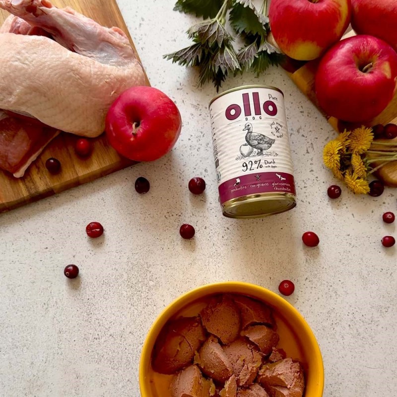 OLLO Pure Duck with apple - wet dog food - 400g