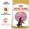 ROYAL CANIN Maine Coon Kitten - dry cat food - 2 kg ROYAL CANIN Maine Coon Kitten - dry cat food - 2 kg
